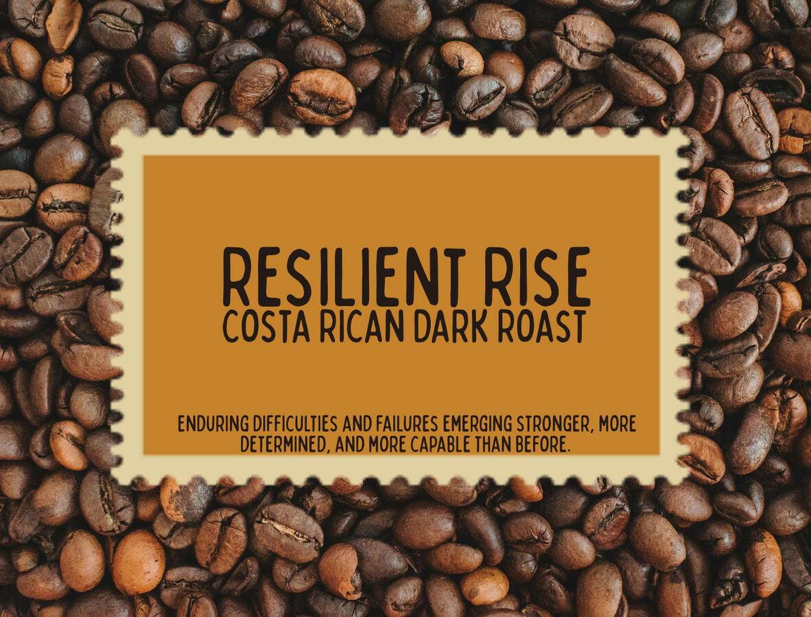 Resilient Rise